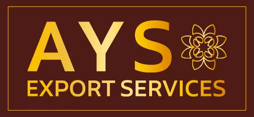 AYS-Logo